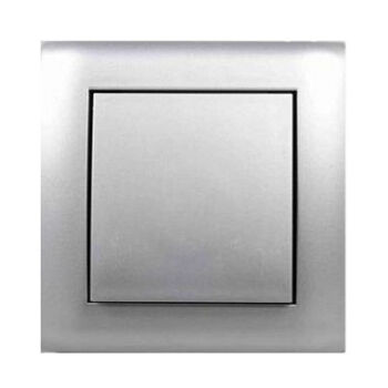 gniazdko_ssace_srebrne